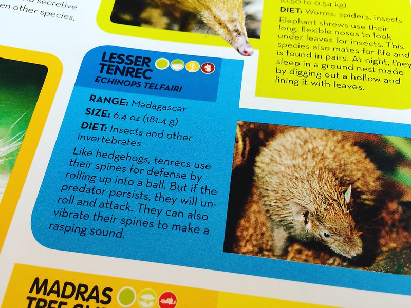 lesser