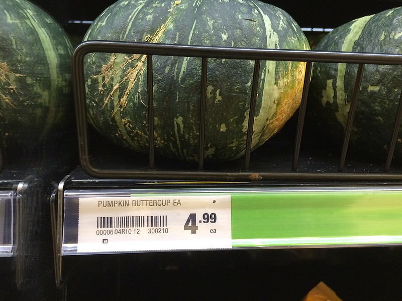 pumpkin